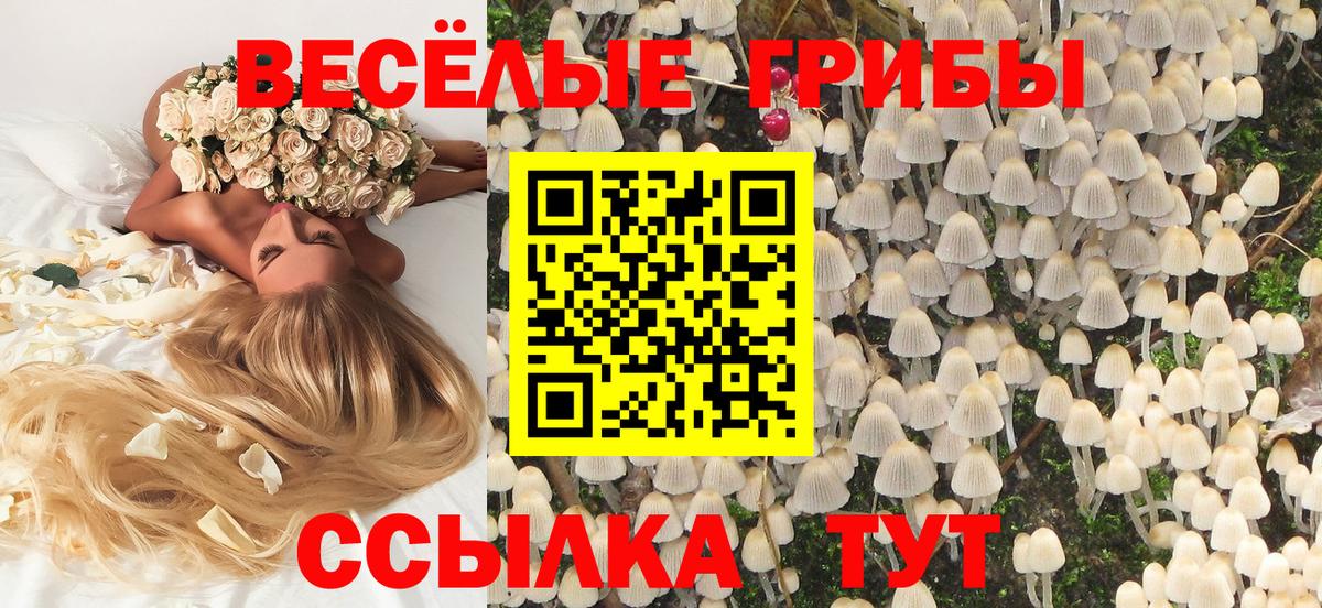 Галлюциногенные грибы ЛСД  Вход с VPN  Псилоцибиновые грибы MAGIC MUSHROOMS  Грязи 