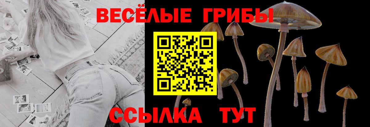 Псилоцибиновые грибы мухоморы Грязи